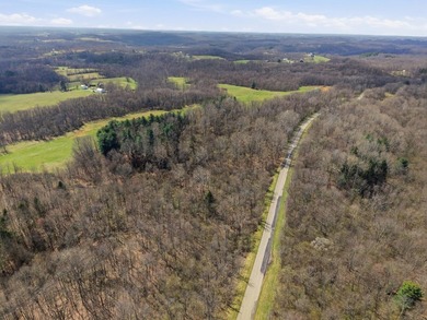 Prime Development Opportunity: 107+ Acre Private Airpark & - photo 22