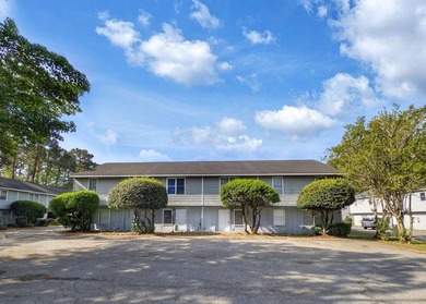 A rare and lucrative investment opportunity awaits at Wachesaw - photo 34