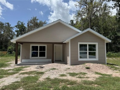 Lake Home For Sale in Lake Panasoffkee, Florida