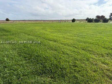 Build your dream home at Lake June Pointe. This is a beautiful - photo 1