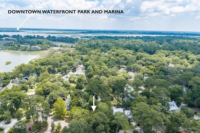 Rare opportunity to build in one of Beaufort's most desirable - photo 3