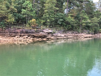 Smith Lake - Stoney Point Landing - Rock Shoreline - Lake Lot For Sale in Double Springs, Alabama