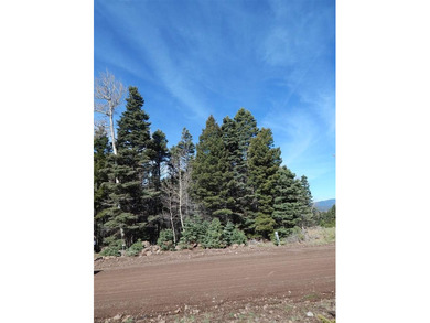 Monte Verde Lake Lot For Sale in Angel Fire New Mexico