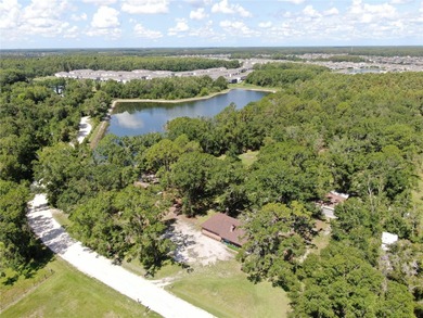 (private lake, pond, creek) Home For Sale in Wesley Chapel Florida