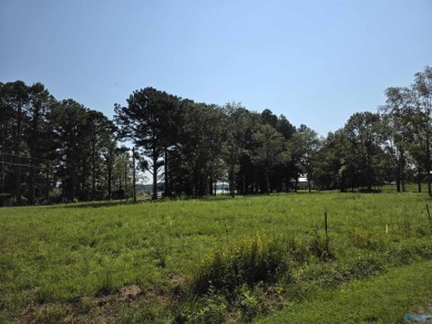 Lake Lot For Sale in Centre, Alabama