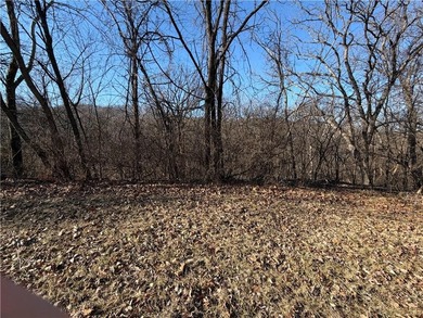 Come build your dream home in a beautiful, established - photo 3