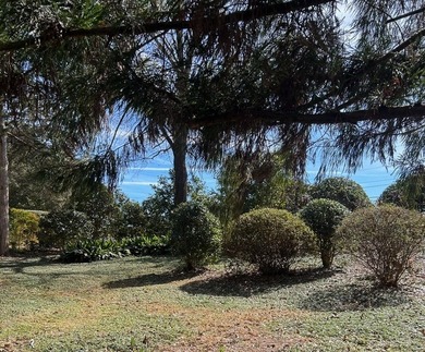 Don't miss this beautiful 3BR 2 BATH 1800+ sq ft home situated - photo 5
