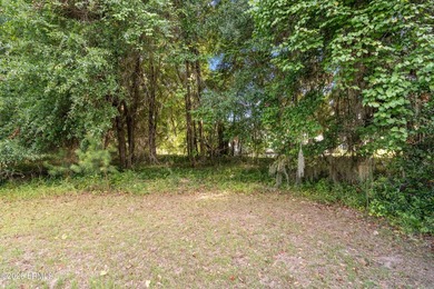 Beautiful 0.73-acre lot in the desirable Seabrook Point - photo 3