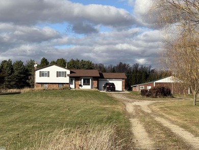 (private lake, pond, creek) Home For Sale in Lynn Michigan