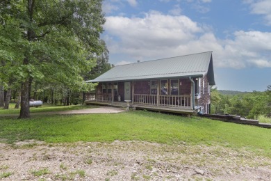 Lake Home For Sale in Theodosia, Missouri