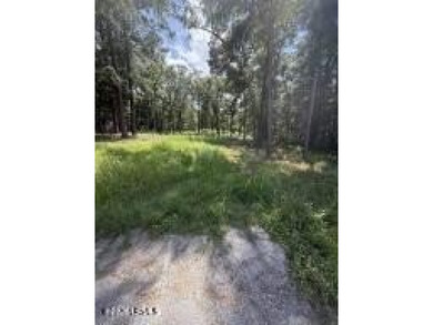 The stress-free with no restrictions vacant land is now - photo 1