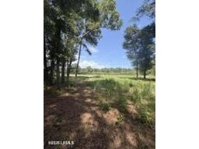 The stress-free with no restrictions vacant land is now - photo 2