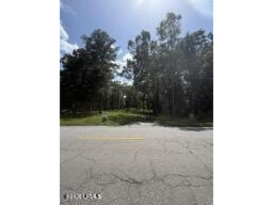 The stress-free with no restrictions vacant land is now - photo 5