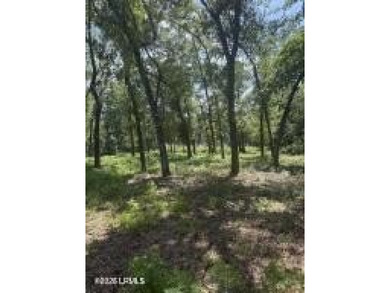 The stress-free with no restrictions vacant land is now - photo 8