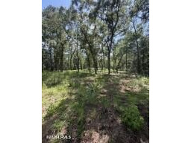 The stress-free with no restrictions vacant land is now - photo 9