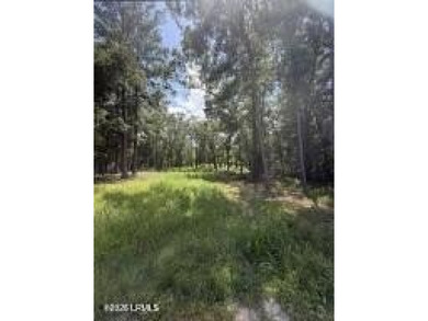 The stress-free with no restrictions vacant land is now - photo 10
