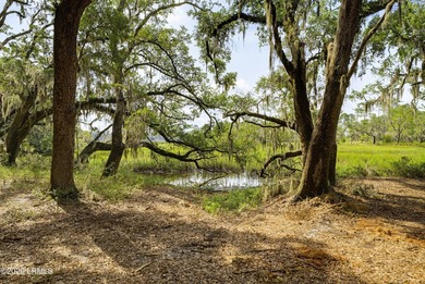 Stunning waterfront homesite among the oaks with expansive views - photo 8
