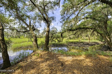 Stunning waterfront homesite among the oaks with expansive views - photo 10