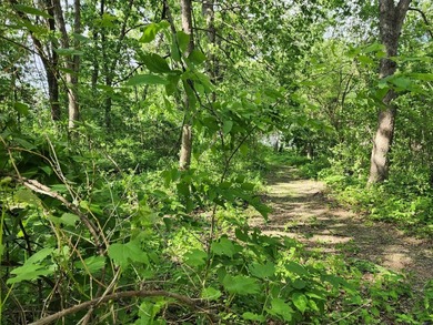 Wisconsin River - Grant County Lot For Sale in Muscoda Wisconsin