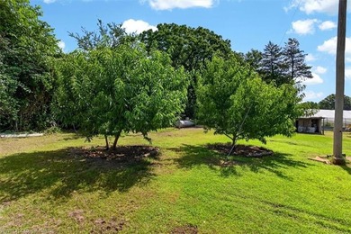 Located in Pushmataha County, this 25-acre property offers a - photo 15