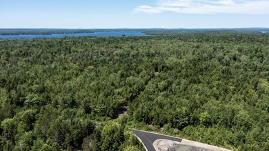 Enjoy all seasons with unlimited lake access via the large - photo 5