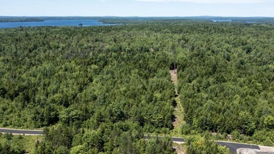 Enjoy all seasons with unlimited lake access via the large - photo 6