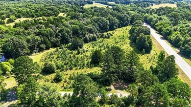 Located in Pushmataha County, this 25-acre property offers a - photo 18