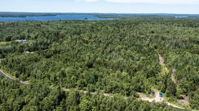 Enjoy all seasons with unlimited lake access via the large - photo 8