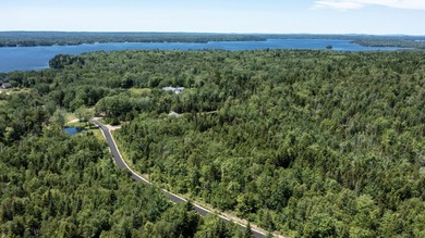 Enjoy all seasons with unlimited lake access via the large - photo 9