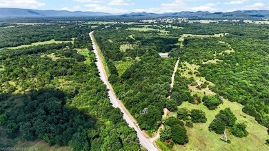 Located in Pushmataha County, this 25-acre property offers a - photo 23