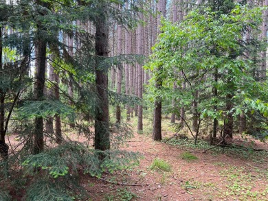 Pine Lake - Forest County Lot Sale Pending in Hiles Wisconsin
