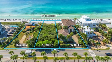 PRICED TO SELL! A World-Class Prime Opportunity to purchase 225 - photo 1