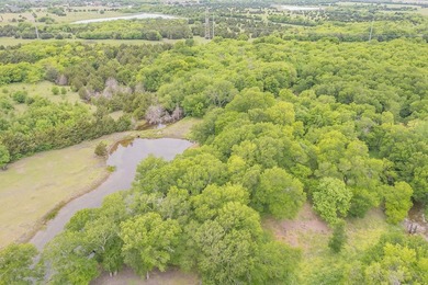Rare opportunity to own a private, Ag-exempt estate just minutes - photo 16