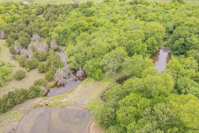 Rare opportunity to own a private, Ag-exempt estate just minutes - photo 17