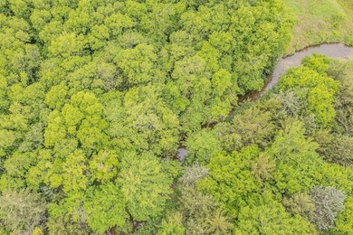 Rare opportunity to own a private, Ag-exempt estate just minutes - photo 19