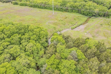 Rare opportunity to own a private, Ag-exempt estate just minutes - photo 20