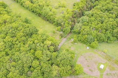 Rare opportunity to own a private, Ag-exempt estate just minutes - photo 21