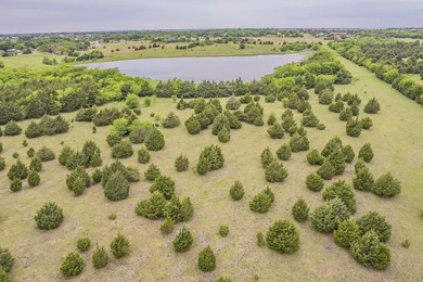 Rare opportunity to own a private, Ag-exempt estate just minutes - photo 23