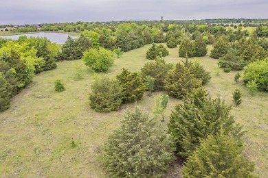 Rare opportunity to own a private, Ag-exempt estate just minutes - photo 24
