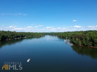 Lake Hartwell Acreage For Sale in Lavonia Georgia