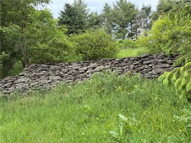 Nestled on 5.65 remarkably private acres along a quiet, bucolic - photo 43