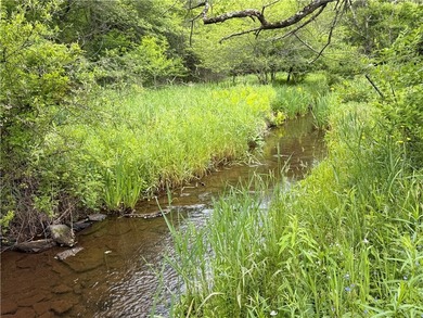 Nestled on 5.65 remarkably private acres along a quiet, bucolic - photo 44