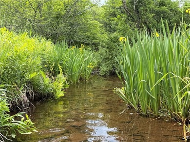 Nestled on 5.65 remarkably private acres along a quiet, bucolic - photo 45