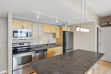 Welcome home to this stunning, bright, open-concept one-bedroom - photo 2
