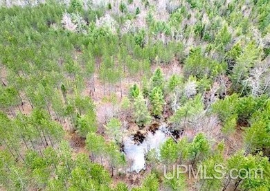 (private lake, pond, creek) Acreage Active Under Contract in Rapid River Michigan