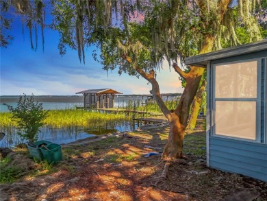 Lake Home For Sale in Eustis, Florida
