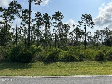 Check out this EPIC lot at a GREAT price! Laird Bayou is a - photo 4