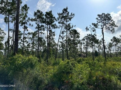 Check out this EPIC lot at a GREAT price! Laird Bayou is a - photo 5