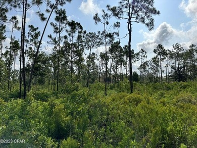 Check out this EPIC lot at a GREAT price! Laird Bayou is a - photo 6