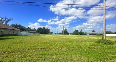 Great location vacant land in Cape Coral. Easy access to Pine - photo 3